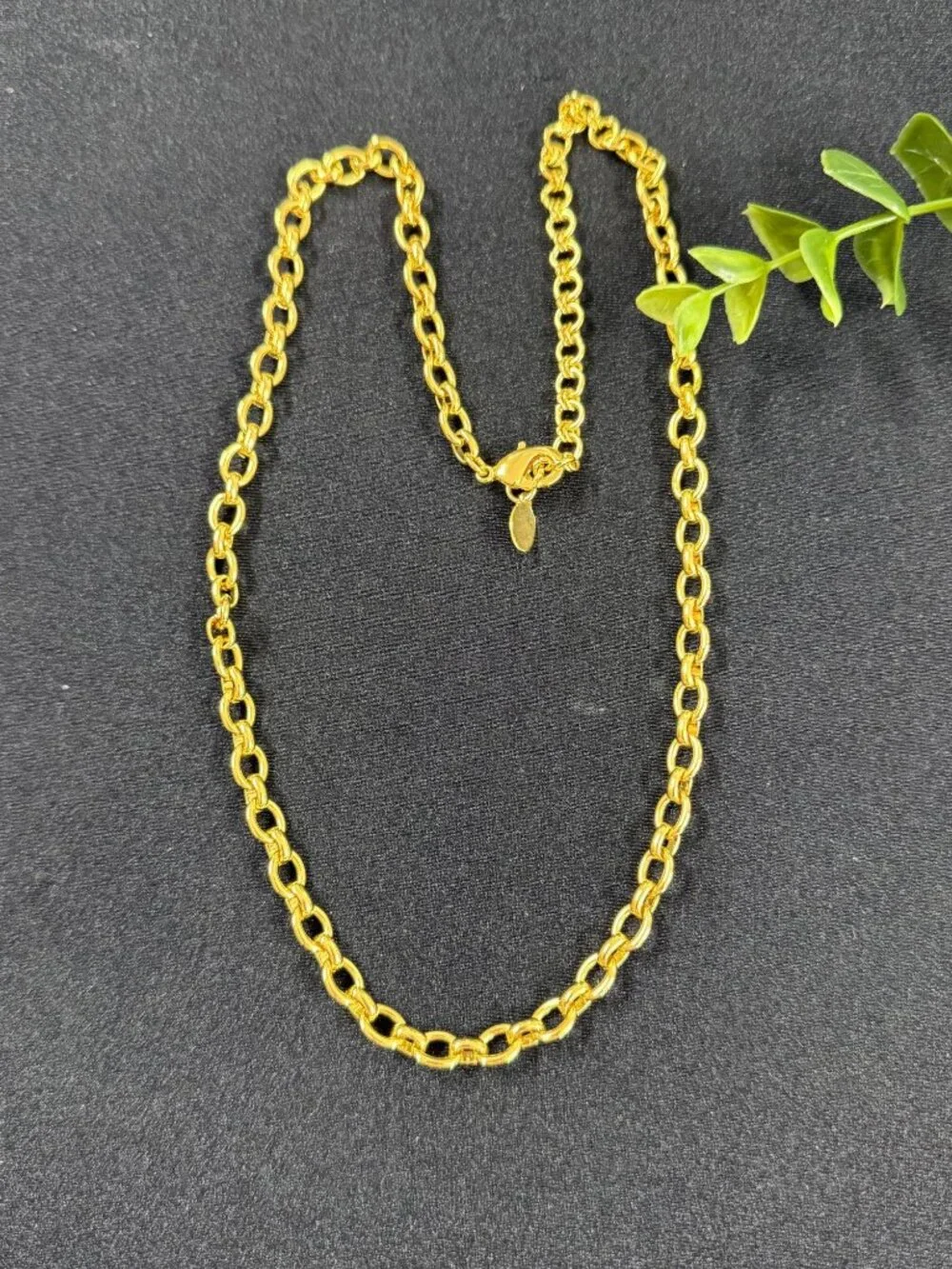 Sorrelli Chunky Rolo Link Chain Necklace‎